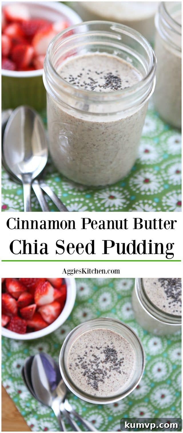 The Best Cinnamon Peanut Butter Chia Seed Pudding Recipe A vibrant, full-length shot of Cinnamon Peanut Butter Chia Seed Pudding in jars, topped with fresh fruit and ready to serve.