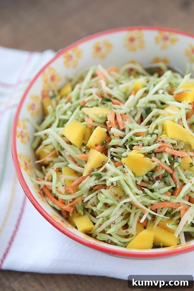 This Tangy Mustard Broccoli Slaw Salad with Mango is the perfect addition to any spring or summer meal! Serve with burgers, chicken or fish. Recipe via aggieskitchen.com