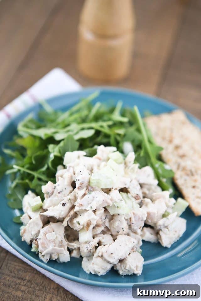 A beautifully presented plate of Grilled Lemon Pepper Chicken Salad, accompanied by a vibrant arugula salad and a scattering of artisan crackers, perfect for a light and healthy meal.