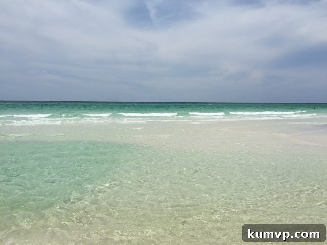 Florida 30A Beach Vacation: Exploring Seaside & Blue Mountain Beach Lush green landscape bordering the pristine white sands and clear blue waters of Florida's 30A coastline, inviting families to an unforgettable beach vacation.