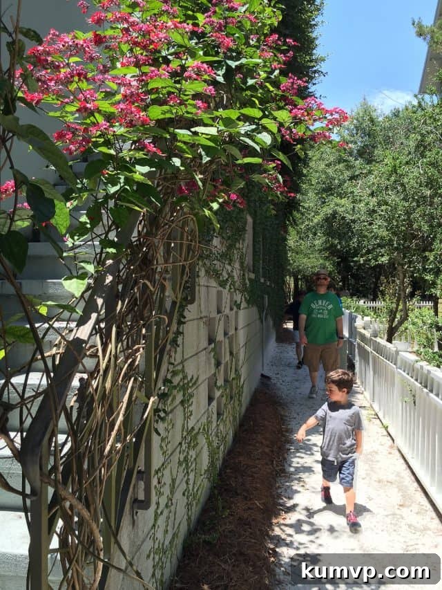 Ruskin Place in Seaside: Art and Architecture The peaceful and artistic ambiance of Ruskin Place in Seaside, Florida, featuring unique homes and lush landscaping around a central square.