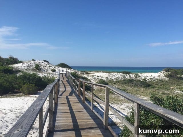 Coastal Walk: Blue Mountain Beach Exploration Two women enjoying a leisurely walk along the scenic coastline of Blue Mountain Beach, with the clear Gulf waters beside them.