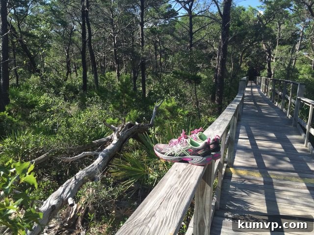 Peaceful Beach Stroll: The Beauty of 30A A picturesque view of the serene beach and ocean, with the gentle waves lapping at the shore, perfect for a peaceful stroll.