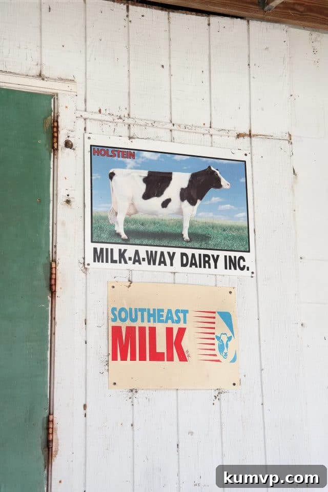 Milk-A-Way Dairy Adventure and The Ultimate Layered Taco Dip 2 img 14917 2