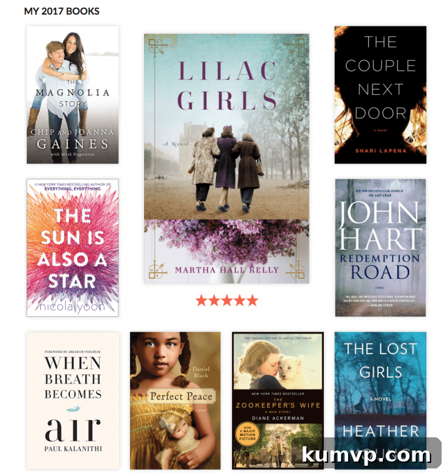 Book collage of 2017 reads, featuring Magnolia Story and Lilac Girls