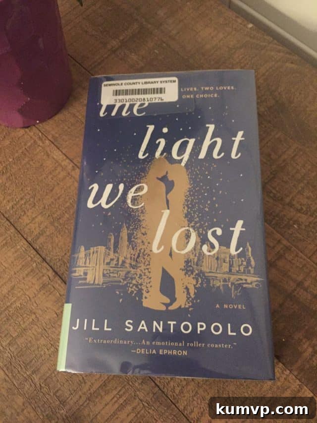 Book cover of The Light We Lost by Jill Santopolo
