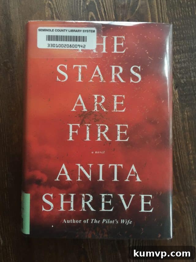 Book cover of The Stars Are Fire by Anita Shreve