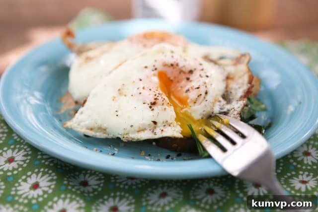 Fuel Your Morning: Easy Spinach and Egg Breakfast Toast A beautifully plated Spinach and Egg Breakfast Toast, showcasing a golden fried egg with a runny yolk atop vibrant sautéed spinach and a spread of cream cheese on hearty whole-grain toast. This healthy and quick breakfast is perfect for starting your day right.