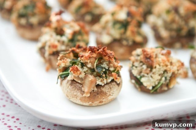 Sun-Drenched Mediterranean Mushroom Bites 6 Rich Walnut and Blue Cheese Stuffed Mushrooms, a gourmet appetizer option.