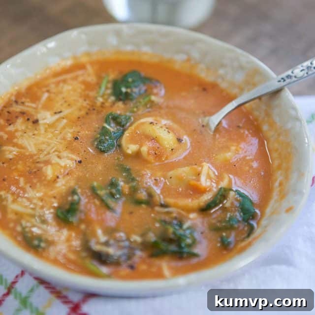 Creamy Tomato-Spinach Tortellini Soup with Cheese Close-up of a spoonful of creamy Tomato-Spinach Tortellini Soup, revealing the perfect combination of plump three-cheese tortellini, vibrant green spinach, and rich tomato sauce, promising a delightful texture and taste.