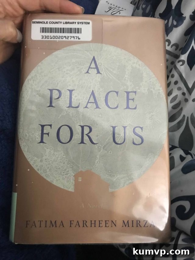 A Year of Pages: My 2018 Favorites 12 Cover of the book A Place For Us by Fatima Farheen Mirza.