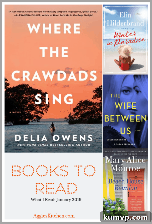 A stack of diverse books, representing a month's reading journey, on a light background, inspiring new literary adventures.