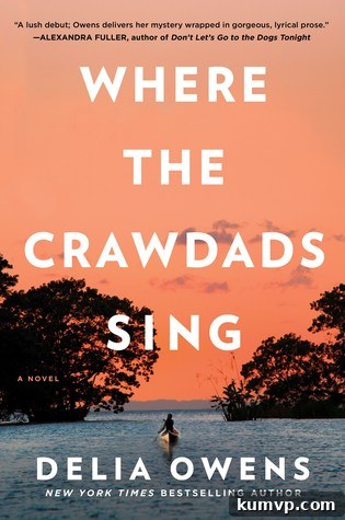 Book cover for 'Where The Crawdads Sing' by Delia Owens, depicting a young girl walking through a marshland at sunset, evoking a sense of solitude and nature.