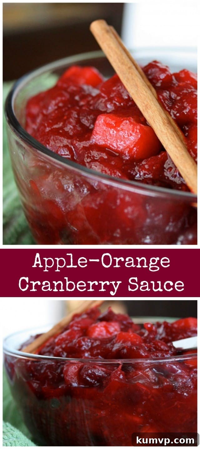 Citrus Apple Cranberry Sauce 3 A fresh, tasty twist on traditional Thanksgiving cranberry sauce featuring apples and oranges.