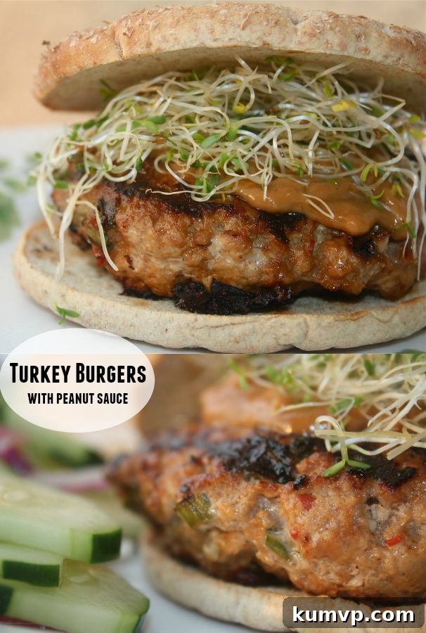 Lean Turkey Burgers with Luscious Peanut Sauce 4 Turkey Burgers with Peanut Sauce from Cooking Light - creamy peanut sauce and sprouts add a delicious twist to these juicy healthy turkey burgers!