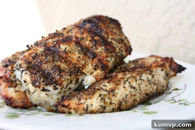 Close-up shot of a plate with a single serving of grilled chicken, generously seasoned with Italian herbs, highlighting its golden-brown crust