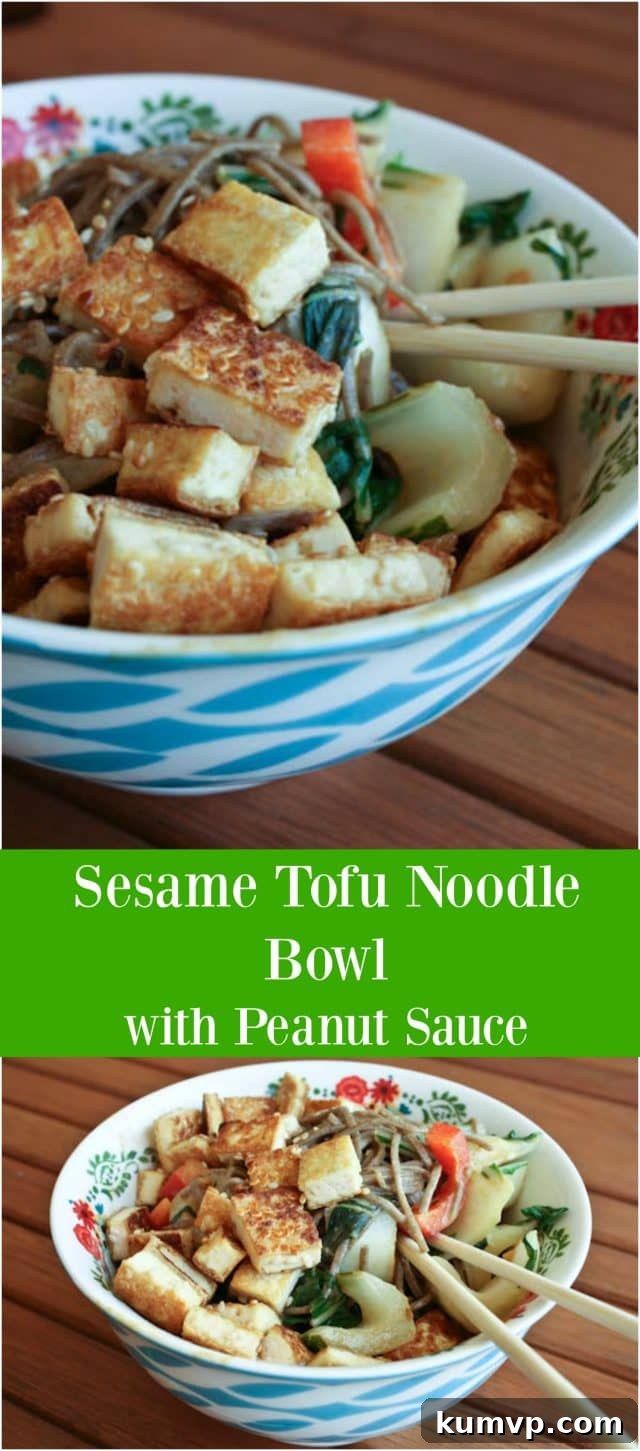Full spread of Sesame Tofu Noodle Bowl with Peanut Sauce, ready to be served