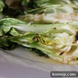 Grilled Baby Bok Choy with Asian Sesame Vinaigrette, a delicious and healthy side dish.