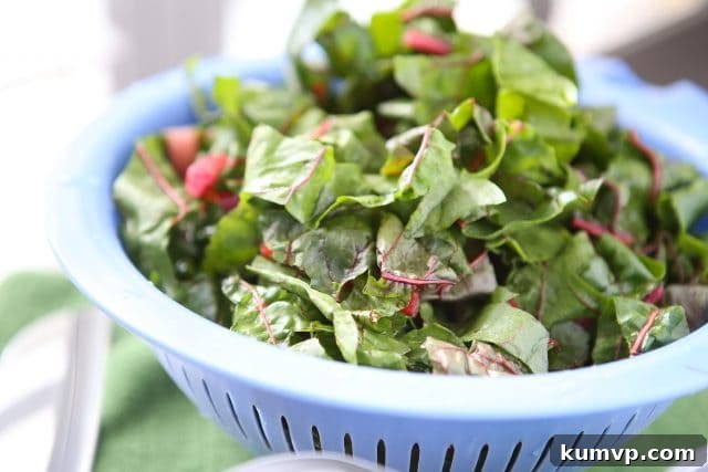 Swiss Chard with White Beans over Pasta - whole wheat pasta, greens and beans make this dish a hearty vegetarian pasta meal! Recipe via aggieskitchen.com