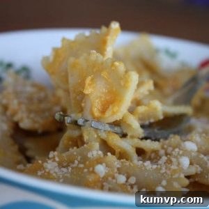 Golden Pumpkin Farfalle with Parmesan Cream 2 Small image of creamy pumpkin bowtie pasta