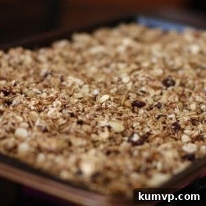 Spiced Cranberry Granola Perfection 2 img 4169 4