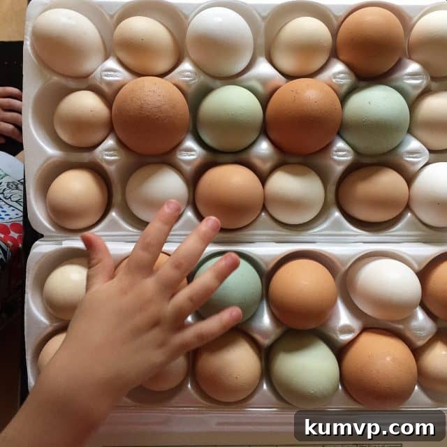 Mediterranean Feta Frittata with Peppers and Onions 3 A close-up of a perfectly cooked Greek Pepper and Onion Frittata, showcasing the vibrant colors of peppers, onions, and the creamy texture of feta cheese within the fluffy eggs, ready to be served.