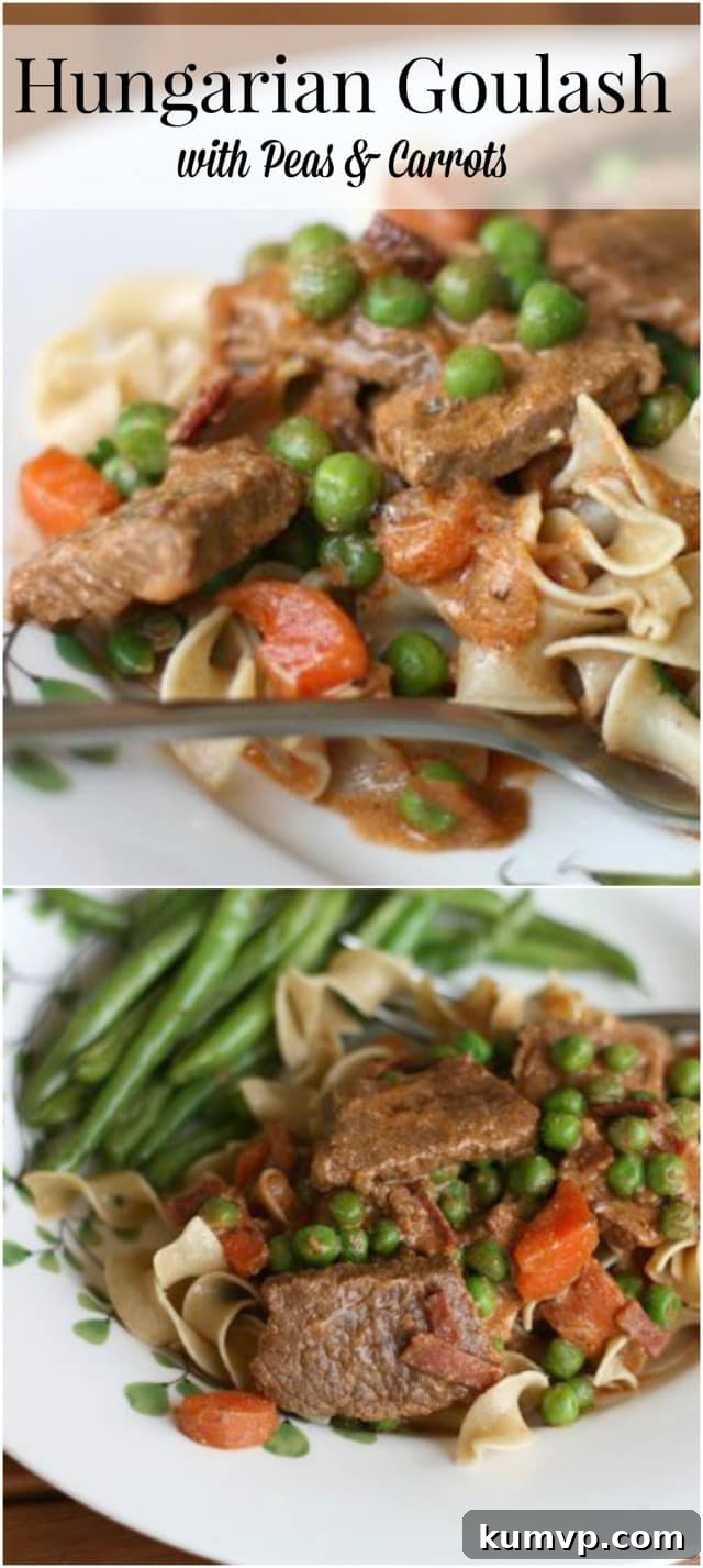 A delicious serving of Hungarian Goulash with tender beef, carrots, and peas over noodles, ready to be enjoyed.