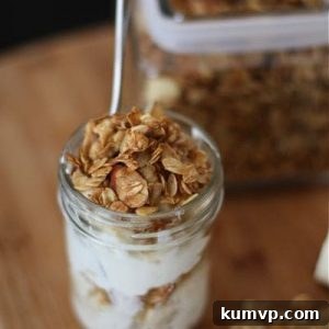 Finished Golden Granola