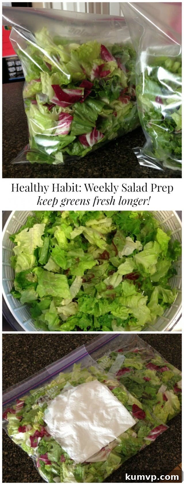 Transform your eating habits with this effective weekly salad prep method! Keep your greens crisp and fresh longer while saving money on groceries.