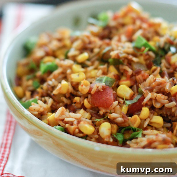 Garnished Mexican Wild Rice, Ready to Serve Serving of Mexican Wild Rice with fresh cilantro garnish