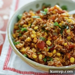 Spiced Mexican Wild Rice 2 img 6767 4