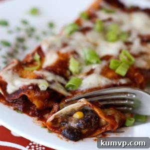 Creamy Black Bean and Corn Enchiladas 2 img 6802 4
