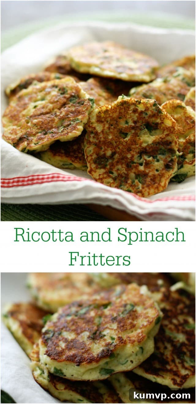 Ricotta and Spinach Fritters - cheesy and full of protein, great snacking for the whole family