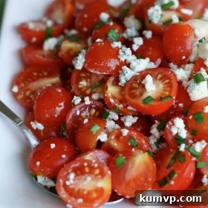 Cherry Tomato and Blue Cheese Salad Recipe, vibrant and fresh
