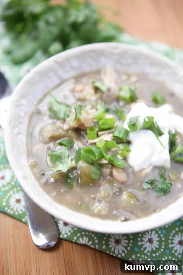 A beautifully presented bowl of Summer White Chicken Chili Verde, garnished with vibrant fresh cilantro, creamy Greek yogurt, and a sprinkle of green onions. The chili showcases its rich texture and appetizing appeal.