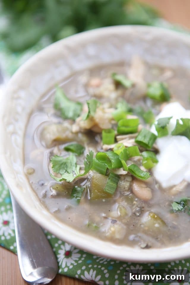 A close-up view of the Summer White Chicken Chili Verde in a bowl, generously garnished with vibrant cilantro, crisp green onions, and a swirl of creamy Greek yogurt, highlighting its fresh and inviting presentation.