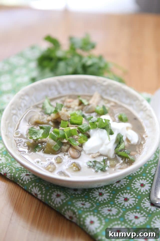A vibrant bowl of Summer White Chicken Chili Verde, exquisitely garnished with fresh cilantro, thinly sliced green onions, and a dollop of creamy Greek yogurt, invitingly placed on a textured placemat.