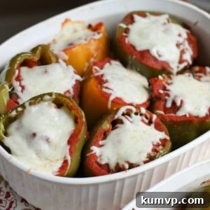 Wholesome Bison & Brown Rice Pepper Boats 2 img 7660 6