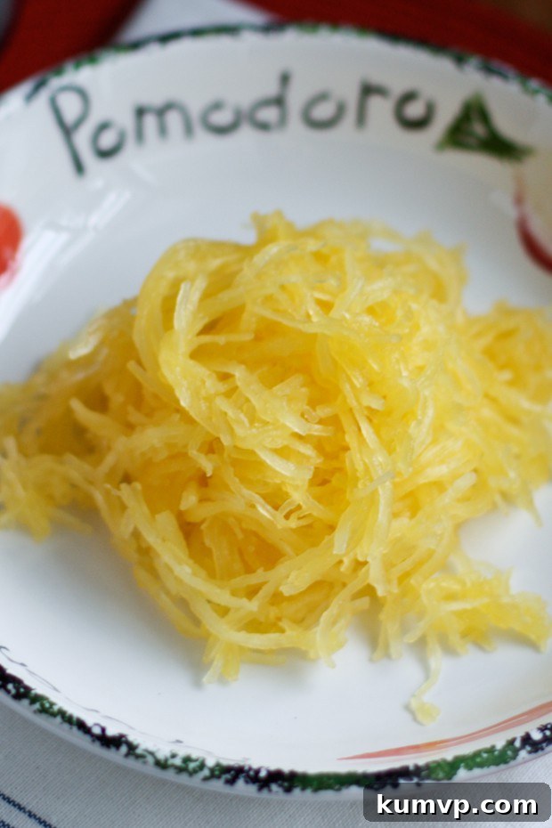 Close-up of fluffy, shredded spaghetti squash strands in a bowl, ready to be topped with sauce.