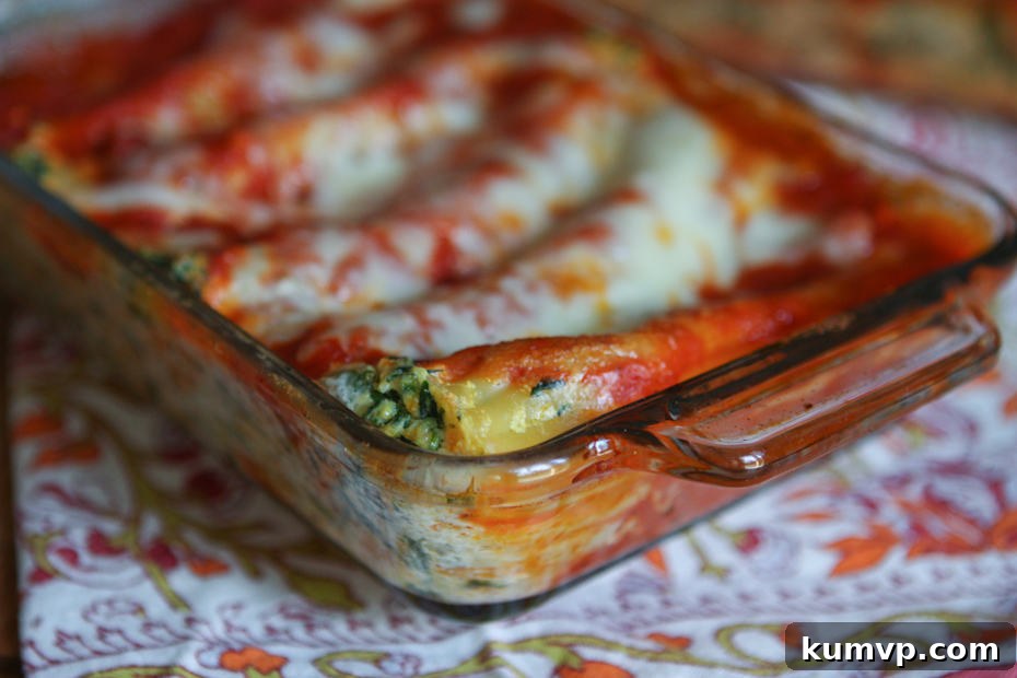 Butternut Squash and Spinach Manicotti Recipe: A wholesome and savory dish. Close-up of baked Butternut Squash and Spinach Manicotti, showcasing the cheesy topping and flavorful filling.