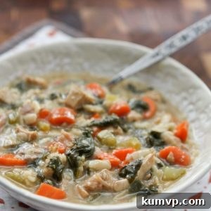 Bright Lemon Turkey Orzo Soup 2 Delicious Lemon Turkey Orzo Soup thumbnail