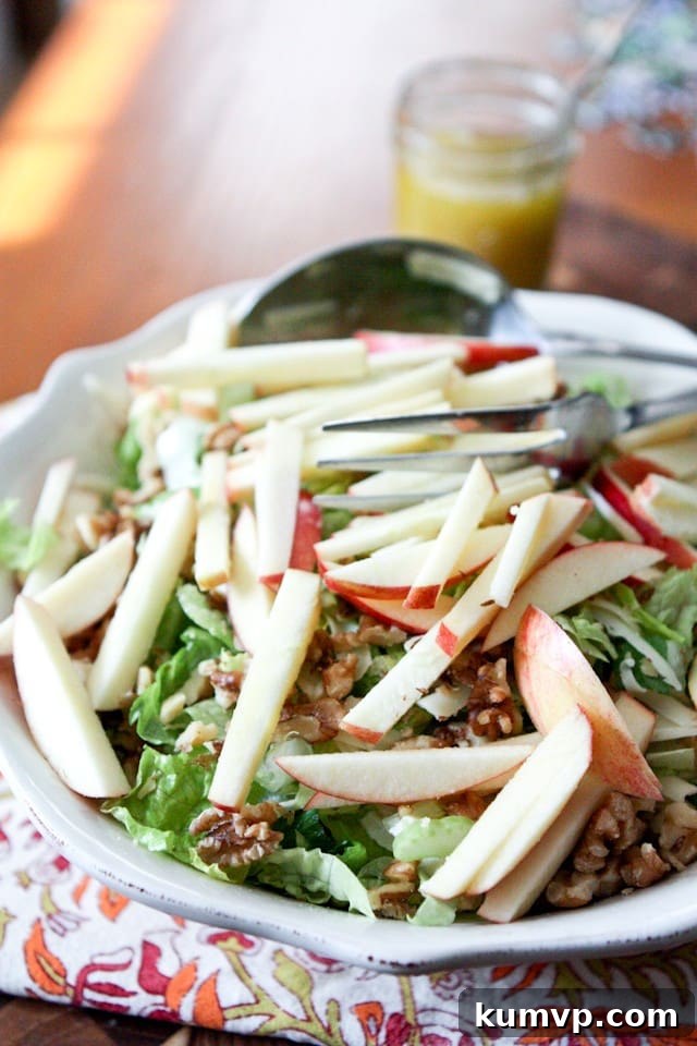 Achieve perfect culinary balance with this crunchy Apple, Celery, and Walnut Salad with a zesty Honey Dijon Vinaigrette. Vibrant Apple, Celery and Walnut Salad with Honey Dijon Vinaigrette, ready to serve