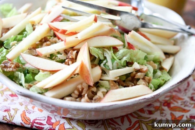 Every bite of this Apple, Celery, and Walnut Salad is packed with satisfying crunch and fresh flavor. Close-up of the crisp textures in the Apple, Celery and Walnut Salad with its vibrant dressing