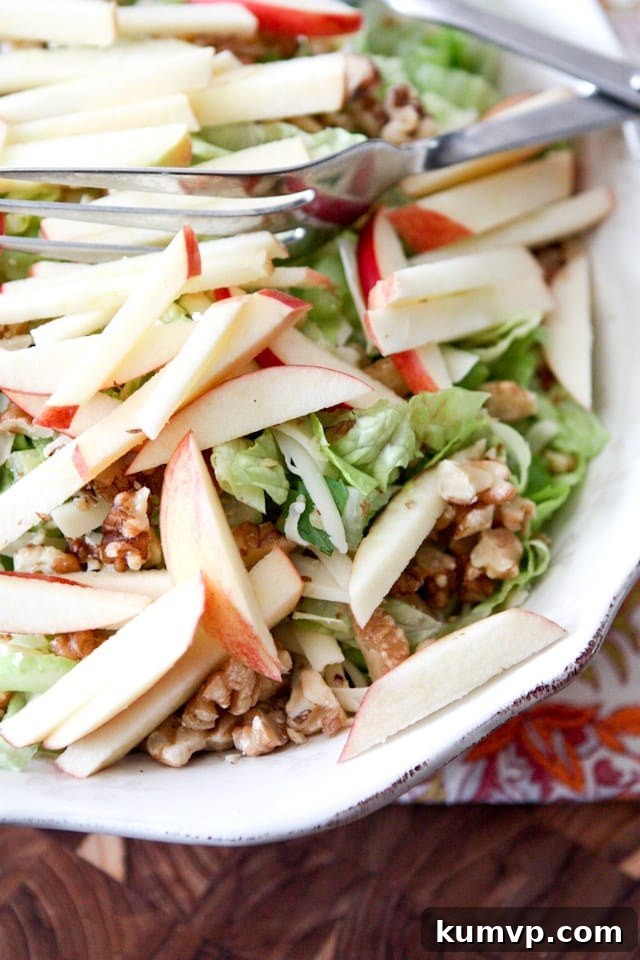 Serve this stunning Apple, Celery, and Walnut Salad fresh with its homemade Honey Dijon Vinaigrette. Finished Apple, Celery and Walnut Salad with Honey Dijon Vinaigrette presented in a large bowl