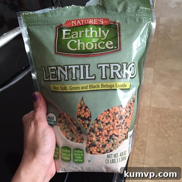 Smoky Lentils A Meatless Marvel 5 Wholesome and Flavorful Smoky Sauteed Lentils | Aggie's Kitchen