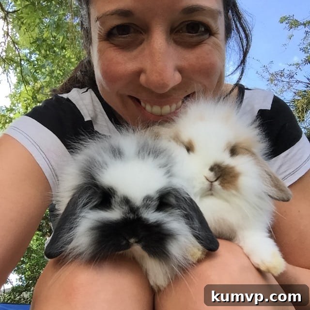 Rosie the bunny, a new adorable addition to the family