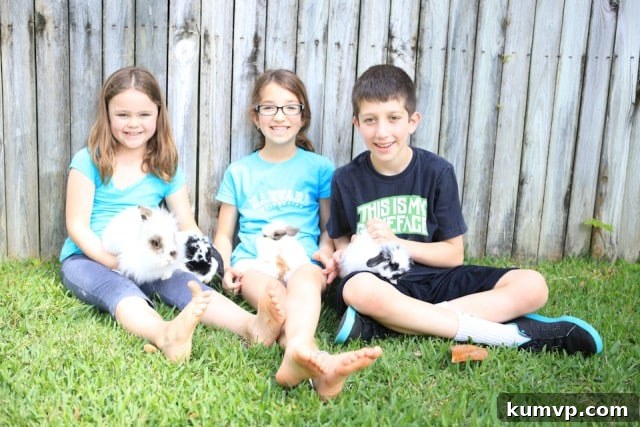 Dutch the bunny, looking curious and fluffy