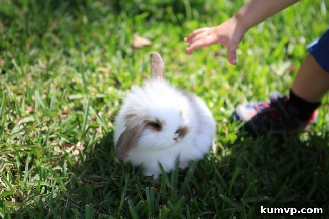 A beautifully presented side dish, perhaps a vibrant salad or roasted vegetables, complementing the main pasta course.