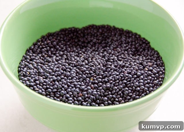 Close-up of Half Meatless Marinara Sauce with black lentils