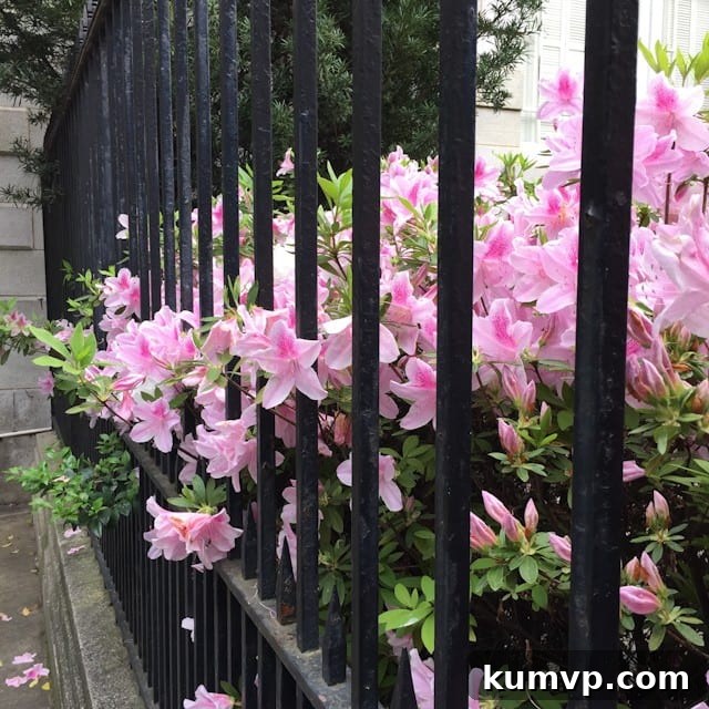 Spring In Savannah, Georgia - A Family Getaway Guide